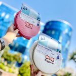 کیف شستشوی لباس‌زیر پرنسا